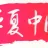 安徽华夏中网信息技术有限公司的logo
