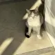 范女士的个人头像