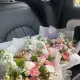 田女士的个人头像