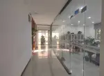 厂区环境